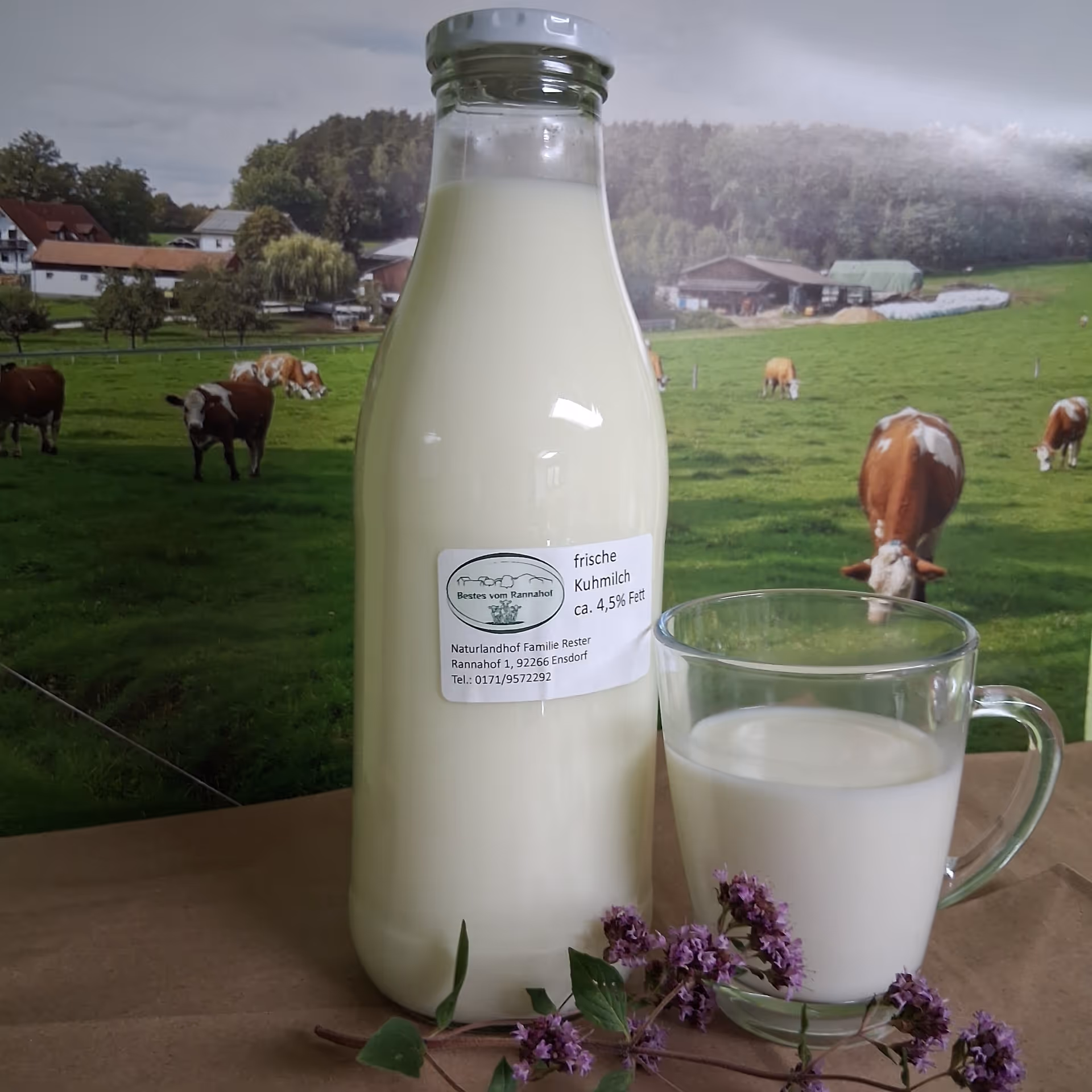 Flasche und Glas frische Kuhmilch vom Rannahof mit Weide im Hintergrund